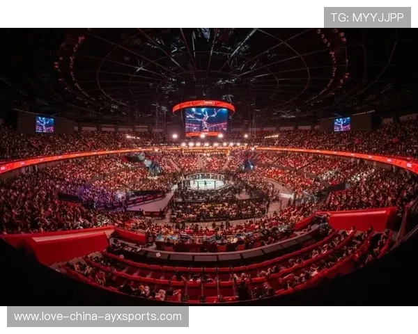 UFC比赛残酷程度让观众不敢直视——一场视觉与意志的极限试炼