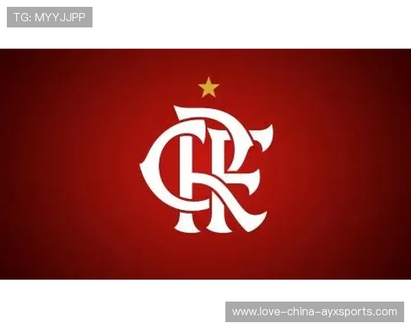 弗拉门戈商学院资源助力俱乐部运营升级:管理能力的跨界突破